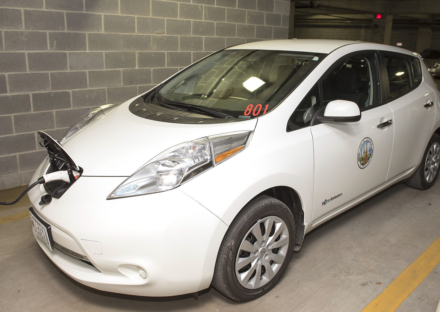 BG HPC Leaf Car - MP